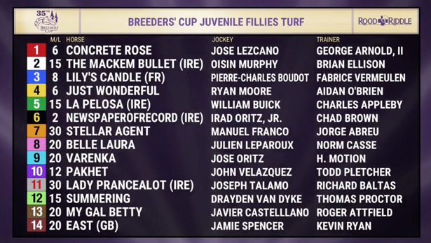 Breeders Cup 2018 Post positions and odds